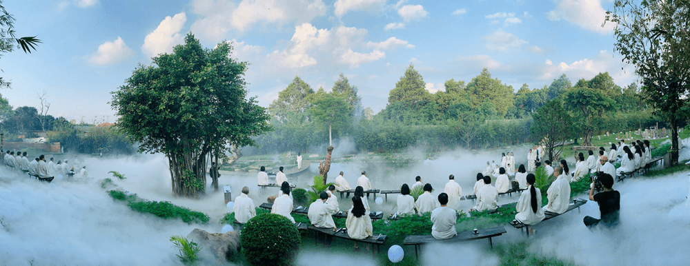 Đón ngày mới trong những khu vườn dược liệu